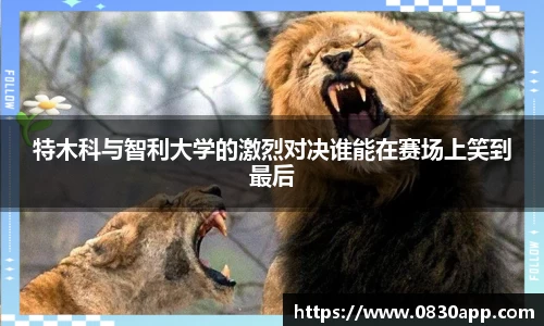 q彩网